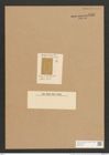 Cocconeis denticula L.-F. (de-Toni-Nr.: Genus 40, Species 1824) Zeichnungen Sammlung Grunow Nr. 3617 (NHMW-BOT-W0371218)